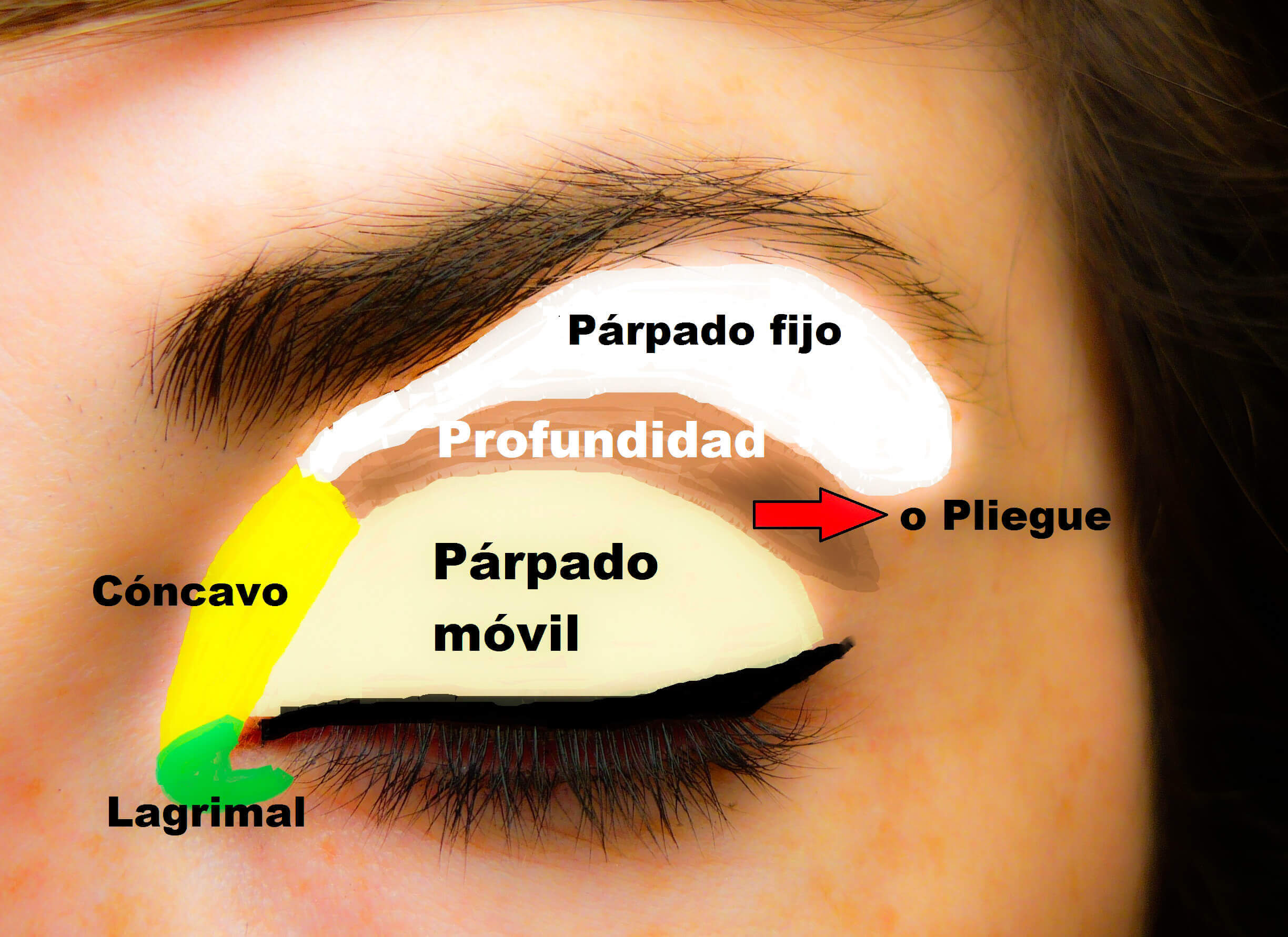 maquillaje-natural-paso-a-paso-9-1-1