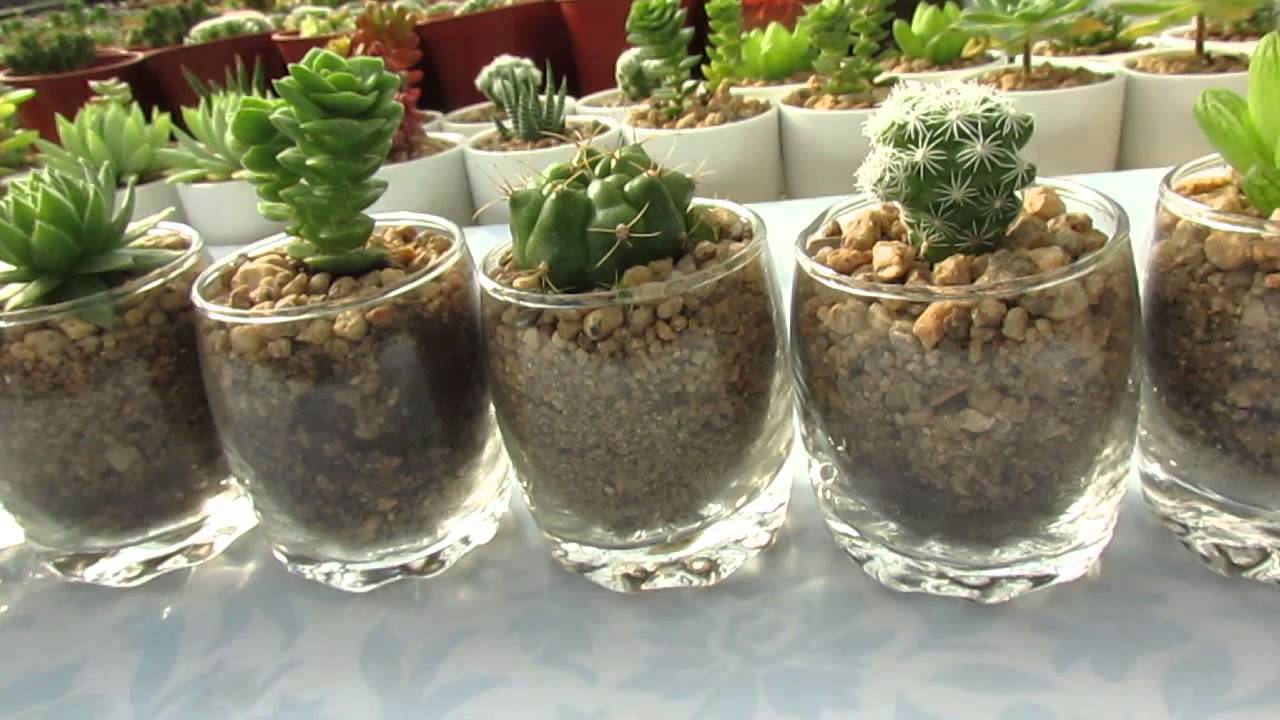 Regalos-Para-los-Invitados-De-una-Boda-2