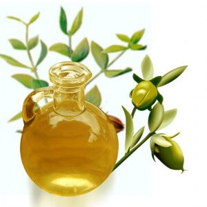 Increibles Beneficios del Aceite de Jojoba Para El Cabello