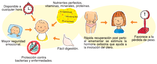 Alimentacion del niño menor de 6 meses: preguntas y respuestas