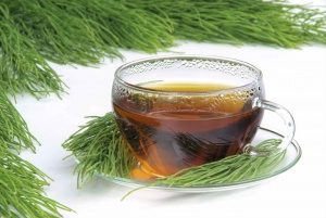 cola-de-caballo
