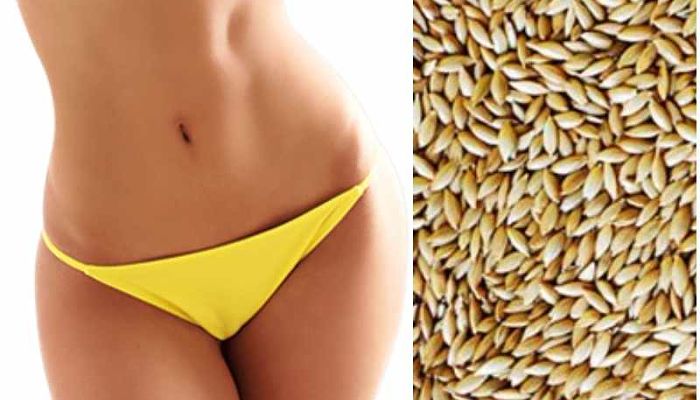 Leche De Alpiste - Contraindicaciones y Beneficios Para La Salud