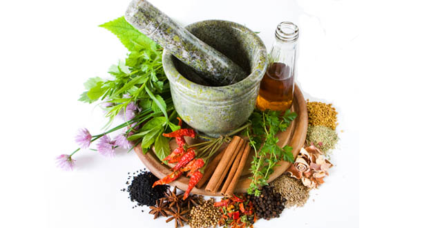 7 plantas medicinales para tratar diversas enfermedades - Megalindas