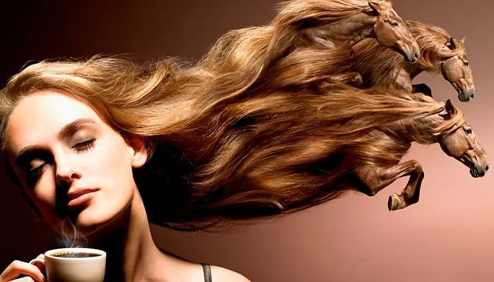 8 Pasos para Teñir tu Cabello en Casa - Fácil y Rápido!